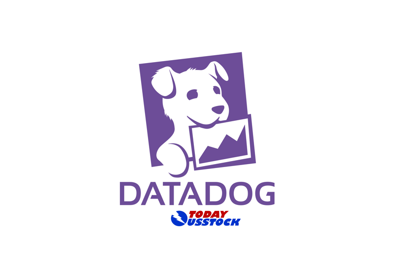 Datadog财报发布后股价下跌,2025年盈利预期低于市场预期