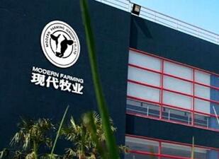华泰证券:现代牧业(01117)重申买入评级 目标价1.78港元