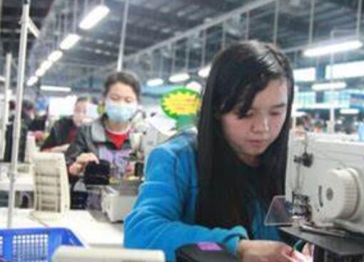 营收同比下滑近5% 九兴控股(01836)股价为何暴涨五成？