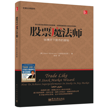 股票魔法师：纵横天下股市的奥秘