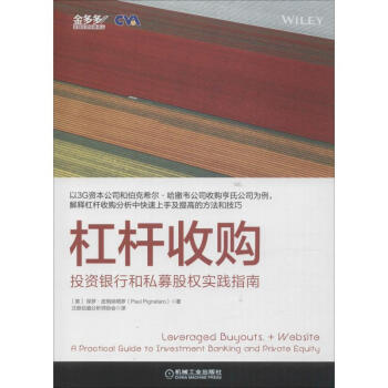杠杆收购 投资银行和私募股权实践指南(美)保罗·皮格纳塔罗
