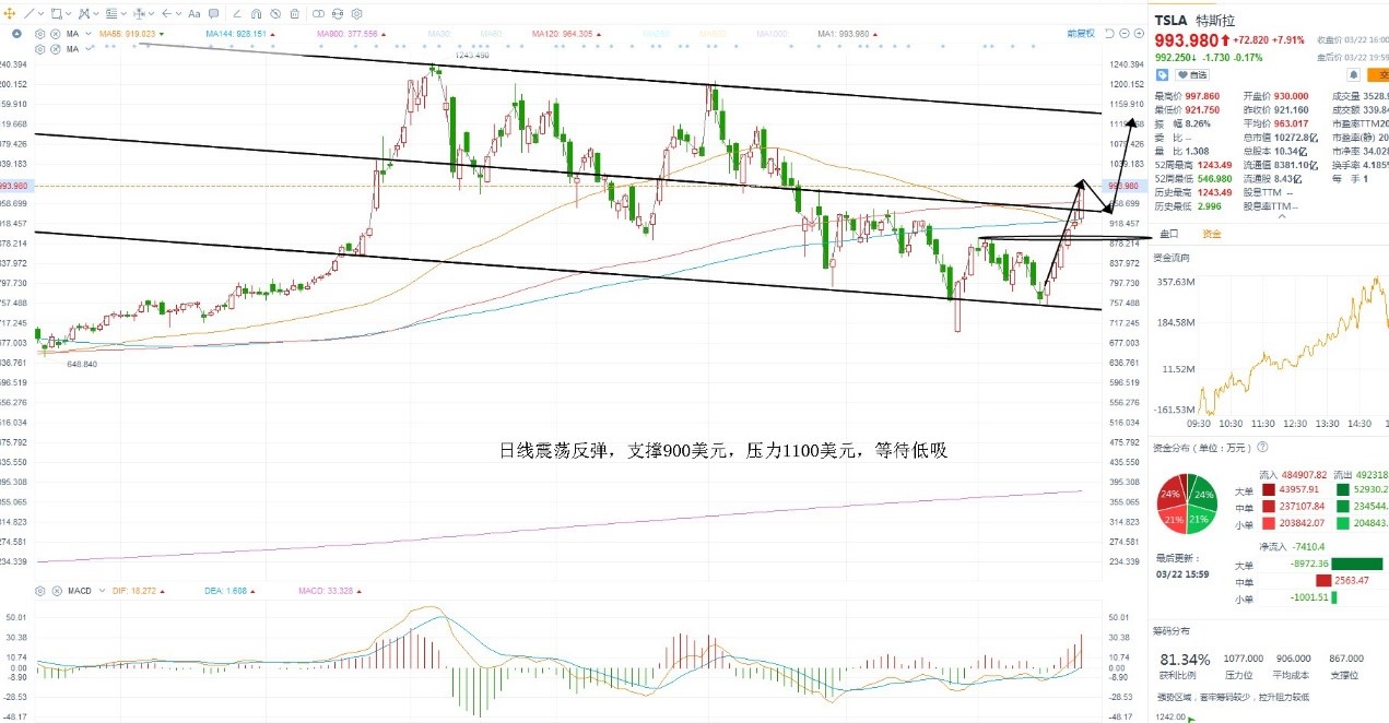 3月23日美股分析、交易市场策略