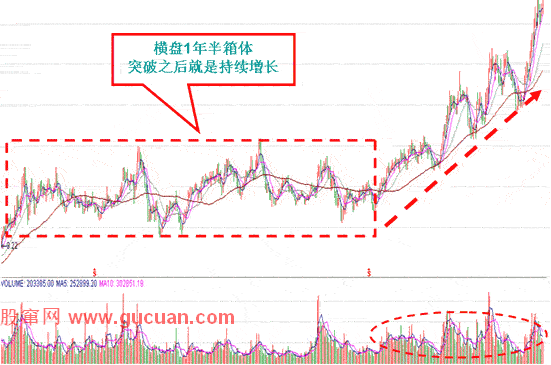 黑马股怎么选,黑马股有哪些的特征