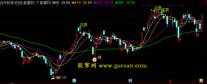 通达信老鼠仓+见底主图指标公式