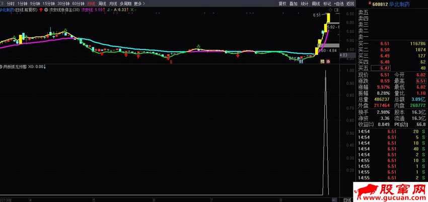两板抓龙（源码 副图/选股/预警 通达信）无未来