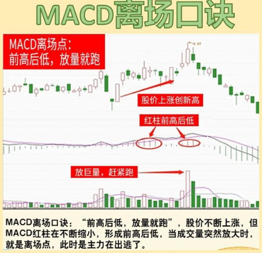 只用“MACD顶底法”，就实现了炒股养家