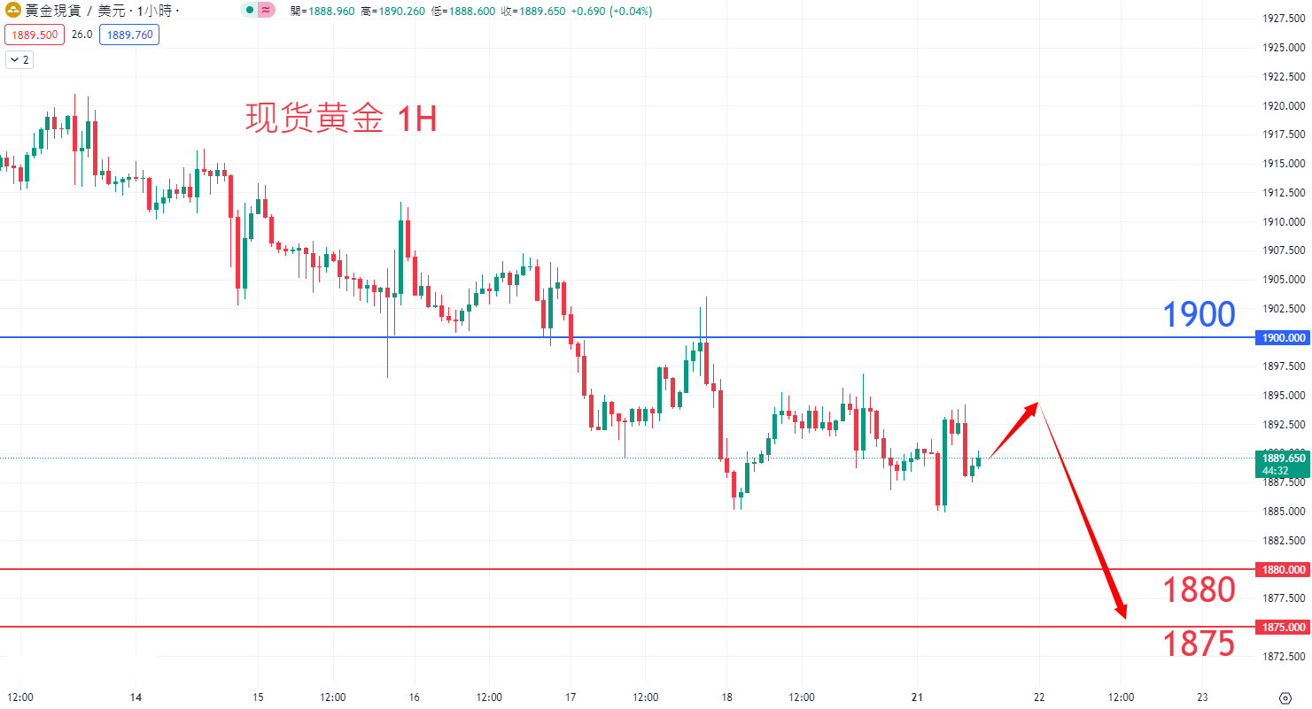 8月21日商品类别|日内关注焦点 8月21日商品类别|日内关注焦点