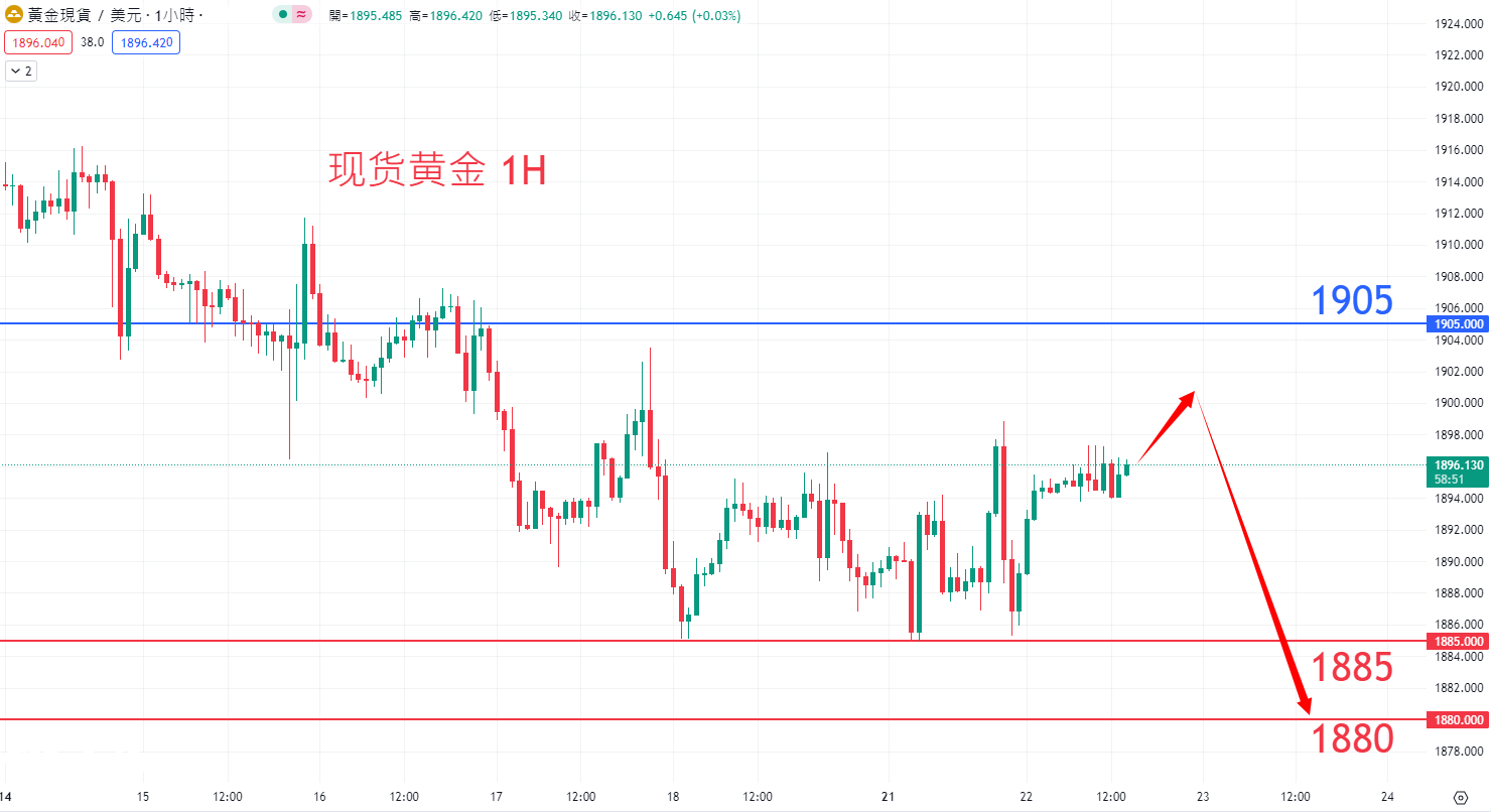 8月22日商品类别|日内关注焦点 8月22日商品类别|日内关注焦点