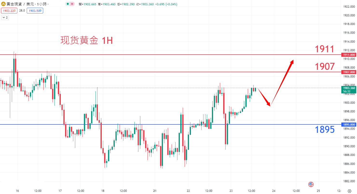 8月23日商品类别|日内关注焦点 8月23日商品类别|日内关注焦点