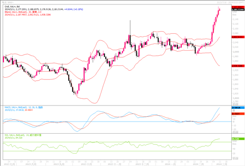 20240311—2月非农细节显弱 金价飙升至历史新高2195