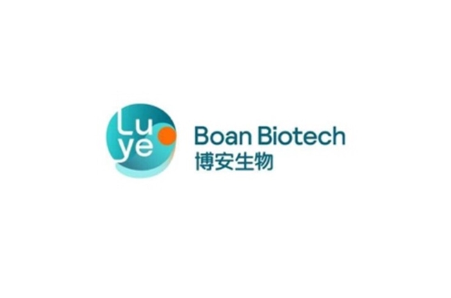 港股创新药概念股集体大涨：博安生物领涨近9%，市场回暖信号强烈